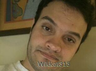 Wildcat315