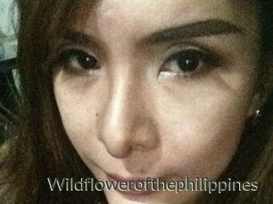 Wildflowerofthephilippines