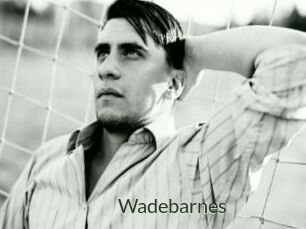 Wadebarnes