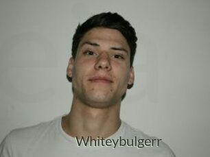 Whitey_bulgerr