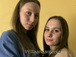 Willaandantonia