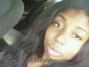 Willow_secret