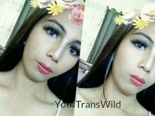 YourTransWild